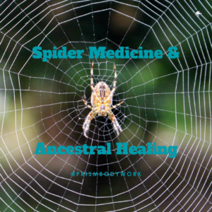 Spider Medicine, Ancestral Healing, Spider web